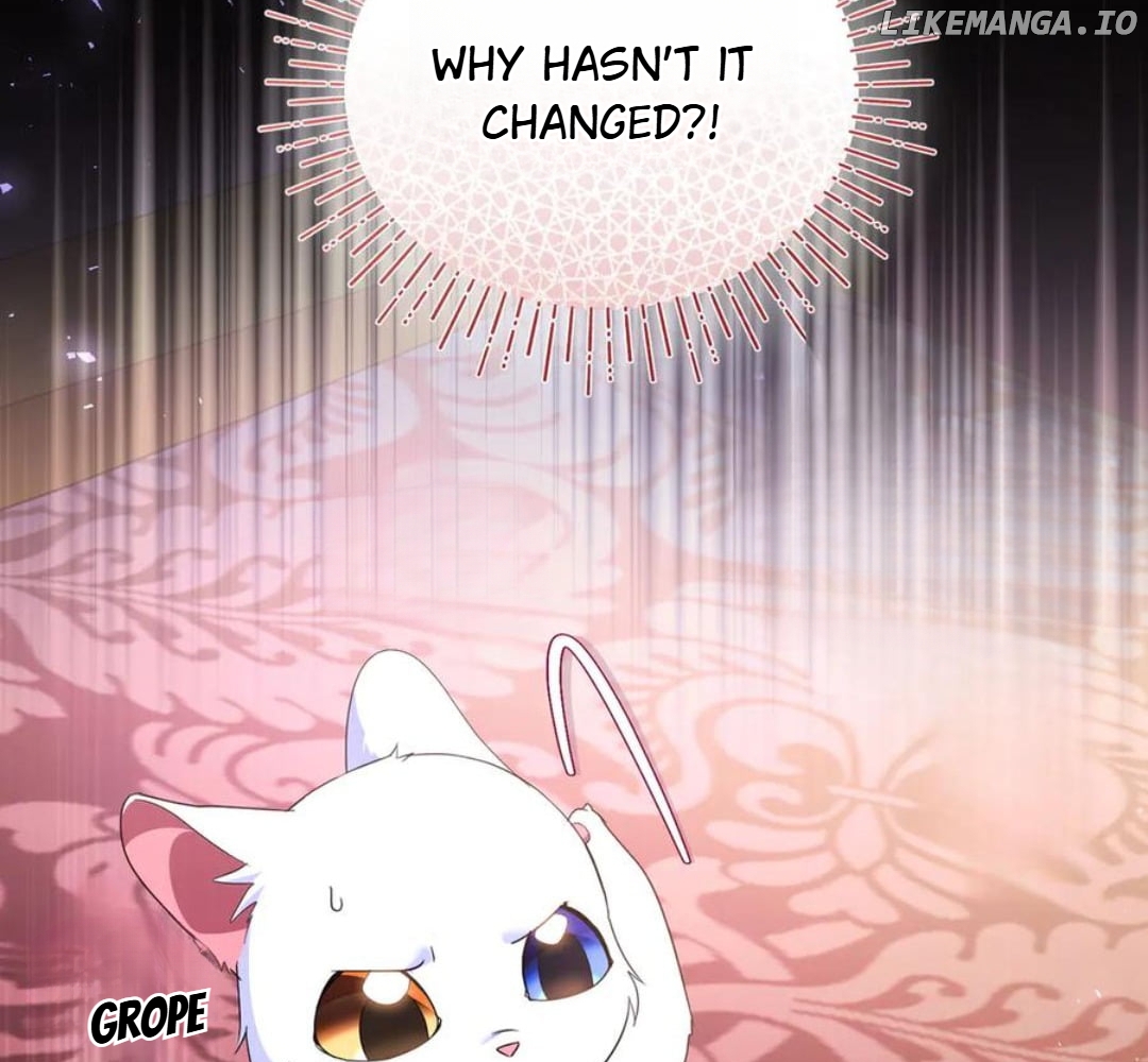 I Became the Sultan's Precious Cat Chapter 55 - page 38